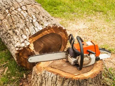 tree-cutting-chainsaw Logo